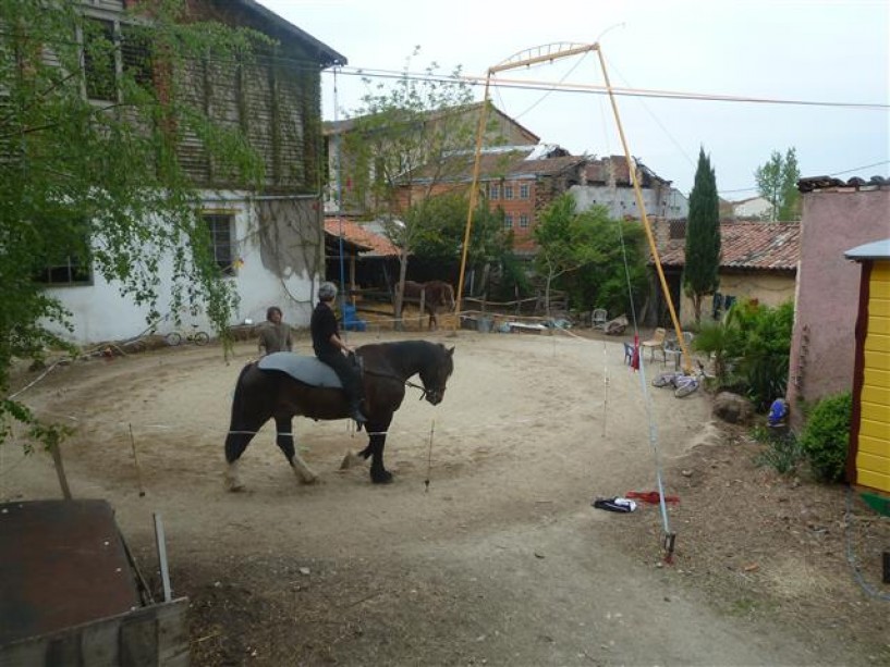 cours hebdomadaires et stages réguliers Rentrée 2017